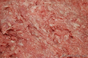 бадера - Польское происхождение #1026607