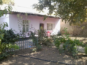 Отличный дом в хорошем районе.  #1029669