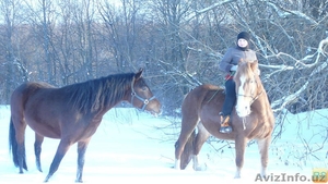 Отель - Небеса,  Все курорты Чимгана,  Чарвака и Белдерсая. #1028561