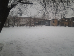 urtasaray************ #1037163