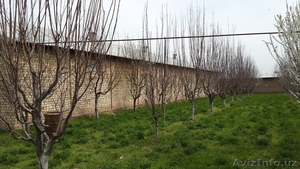 СРОЧНО!!! продам Зем.участок 40сот. #1073606