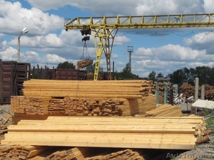 Екатеринбург, Россия. 8-912-62-27-615.Владимир.почта eg-les66@yandex.ru #1091152