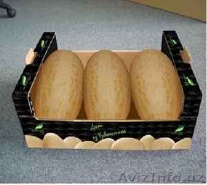 arbuz, dynya, sliva #1096375