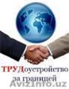 Рабочие в Швецию #1083276