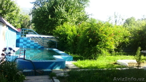 Отдых на даче в Чарваке #1102914