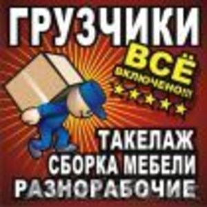 ГРУЗОВЫЕ ПЕРЕВОЗКИ.955 96 20 #1117914