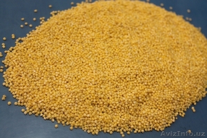 пшено шлифованное 1 сорт Россия #1156610