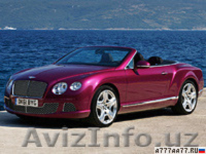 Ищу работу в Самрканде. #1219228