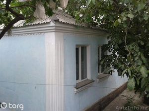 продам дом в 1 саманном #1231033