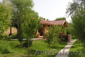 Зона отдыха Голден Фиш - Круговорот ярких впечатлений #1239964