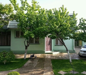 Продается дача  между Паркентом и Янги базаром #1235064