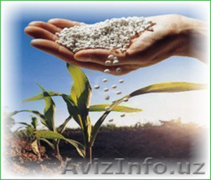 Карбамид,  селитра (минудобрения),  NPK по Украине и на экспорт. #1246198