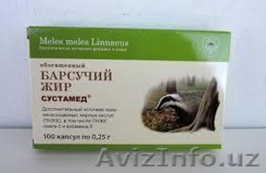 Барсучий жир обогащенный,  120 капсул по 0, 25 г #1245925
