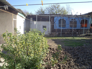 Дом-мечта в Ташморе: сад_баня_бассейн_стоянка на 2 авто_виноградники #1249234