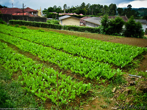 Продаётся дом Вашей мечты! #1278246