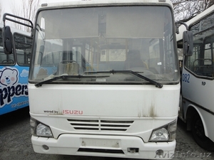 автобус Isuzu Midi #1291073