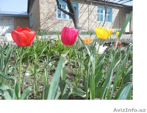 Продается дом на участке 10 соток #1298994