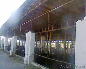 Продаётса фермерское хозяйство #1314620