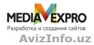 Создание сайта любой сложности для любых целей,  командой Mediaexpro  #1342170