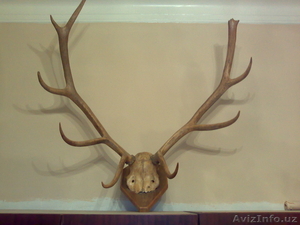 Декоративная подвеска из рогов #1352326