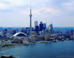 Оплачиваемая практика. #1364963