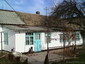 продам дом в городе янгиюль срочно! #1375530