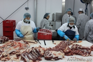 Работа  в Польше #1368738