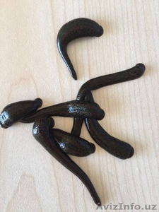 продаю медицинский пиявки #1382150