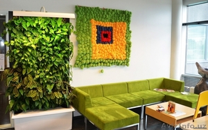 Продаются фитокартины с экзотическими растениями и цветами.Производства Голланди #1388320