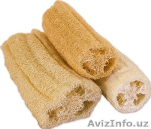 Ищу поставщика неотбеленной люфы #1388946