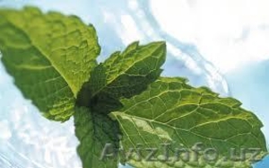 Calmiskin,  5 мл #1389517