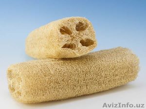 Куплю неотбеленную люфу #1388944