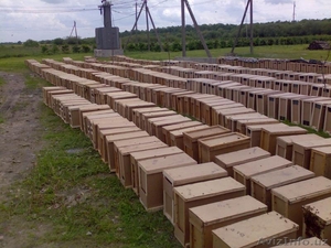 Пчелопакеты 3+1 карпатка и карник в неограниченном количестве #1395161