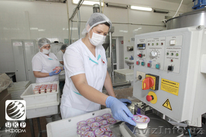 Работа в молочной фабрике - Германия #1413650