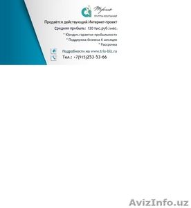 Продаётся действующий Интернет-проект с прибылью 120 тыс.руб. #1411770