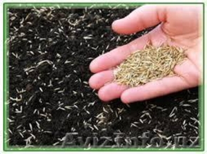 Дизайн любого участка #1410495