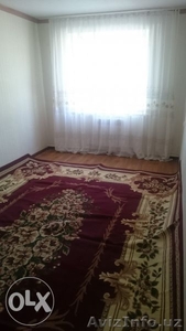 КУПЛЮ ДОРОГО ЛЮБЫЕ Б/У КОВРЫ И ПАЛАСЫ ВСЕ ИЗ ДОМА  ТЕЛ-320-38-99 #1401219