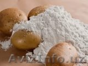 крахмал картофельный высшего сорта,  в мешках оптом  #1423554