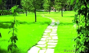 Дизайн,  озеленение,  спорт трава,  парковый газон,  Canada Green. Альпийские горки,  #1404796