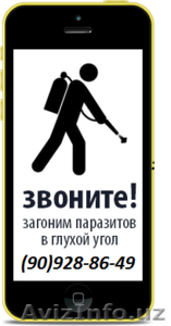 Дезинфекция от тараканов #1459664