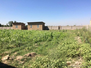 Продам участок в раёне Куйлук. Quyluq tumanidan yer sotaman. Narxini kelishamiz. #1467753