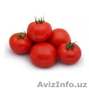 Семена томата Анита (KS 829 F1) фирмы Китано #1466397