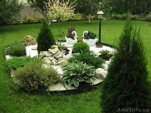 Ландшафтный дизайн Посев газона  #1484606