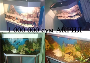 Аквариумы Cрочна #1495407