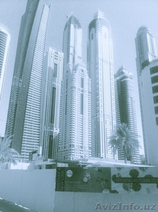 Грамотное заполнение анкеты GREEN CARD! #1497897