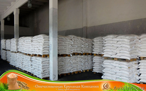 Рис оптом Производство #1505309