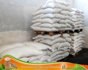 Рис Камолино Завод #1505323