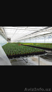 Холодильные хранилища,  теплицы #1522776