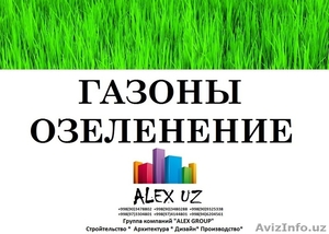 Газоны посев и готовые газоны в рулонах -Ландшафтный дизайн,  газоны посев и гото #1535147