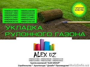 ЕвроГазоны посев и готовые газоны в рулонах -Ландшафтный дизайн,  газоны посев и  #1535149